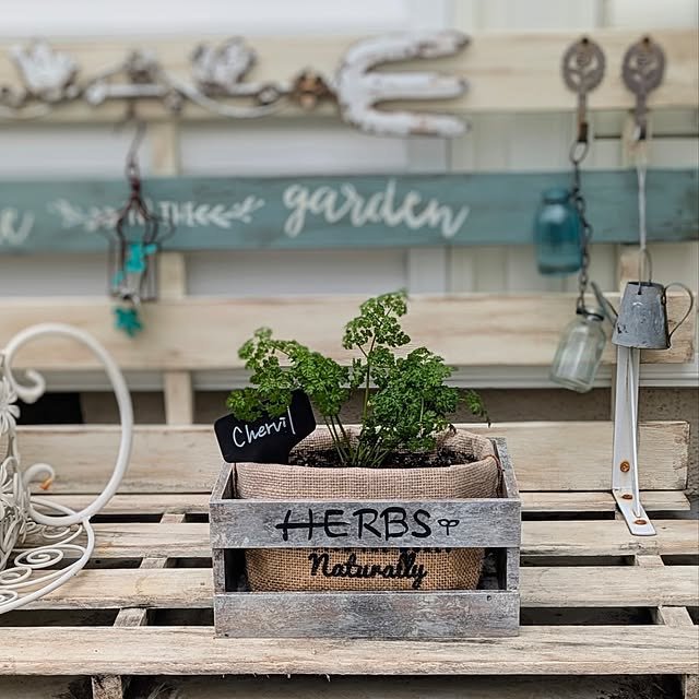 purpureさんの部屋