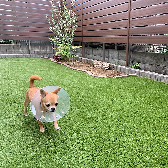 totaryuさんの実例写真