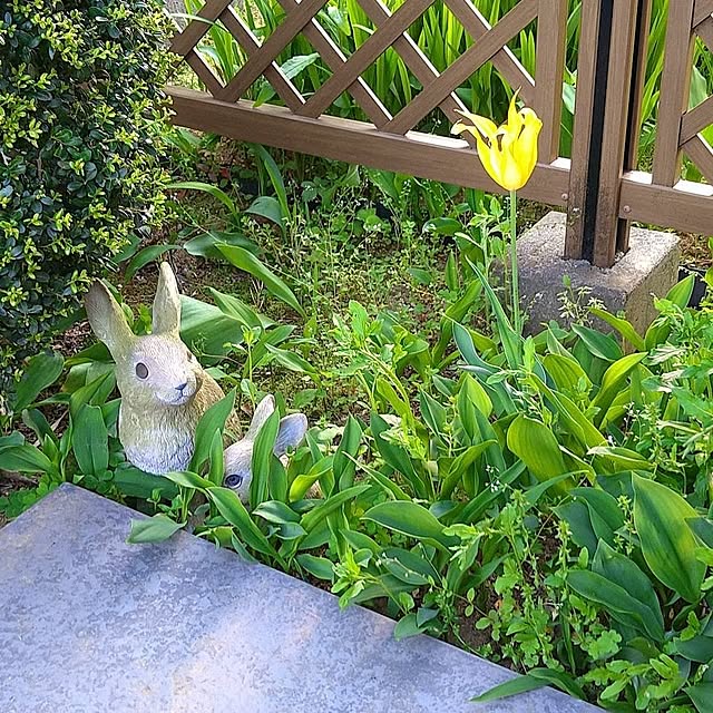 manmaruoyajiさんの実例写真