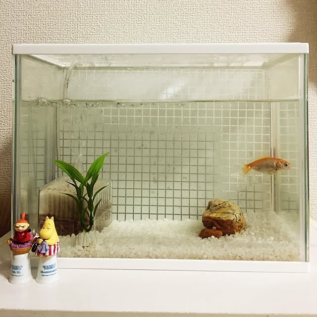 meeeeegさんの実例写真