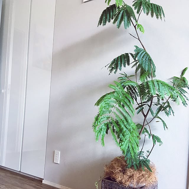 Karinさんの実例写真