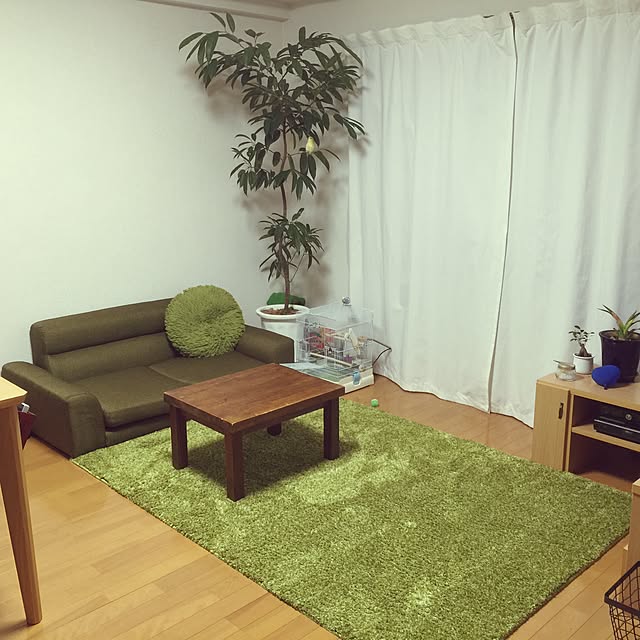 shirokinaさんの実例写真