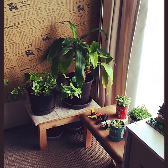 asukaさんの実例写真