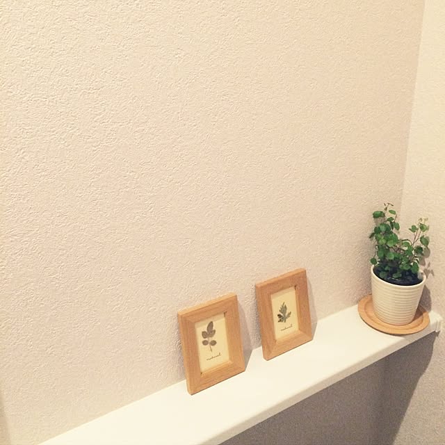 usahanaさんの実例写真