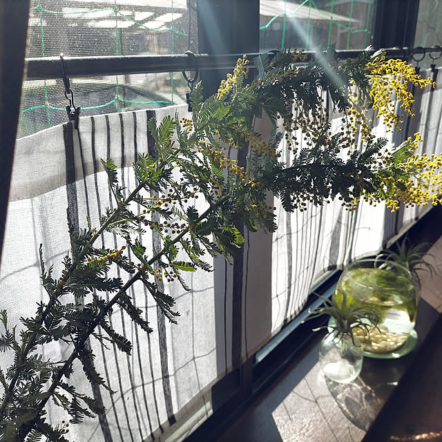 michiさんの実例写真
