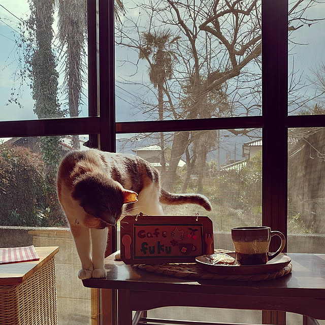 fukuさんの実例写真