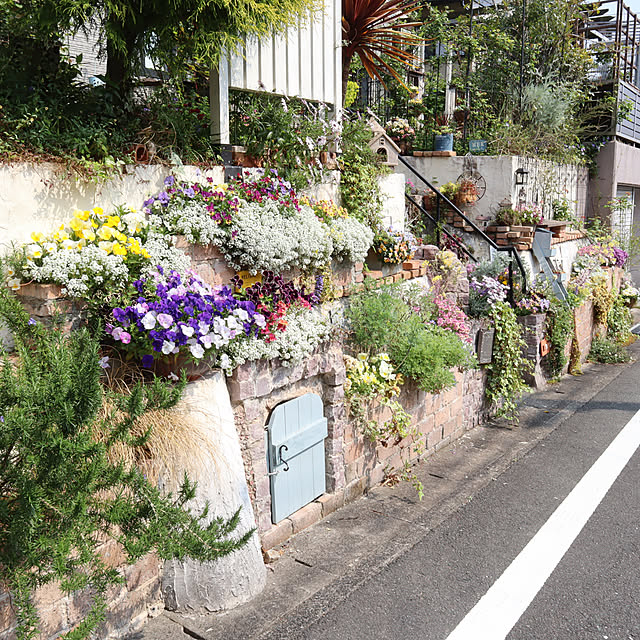 amiさんの実例写真