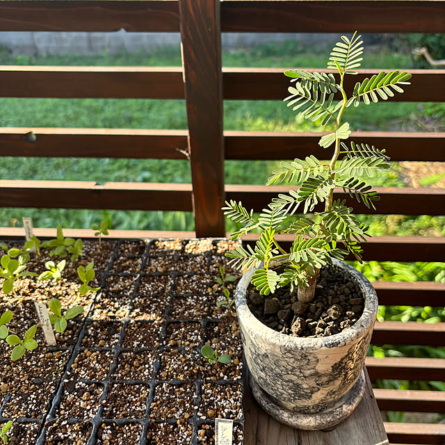 kyoko1124koさんの部屋