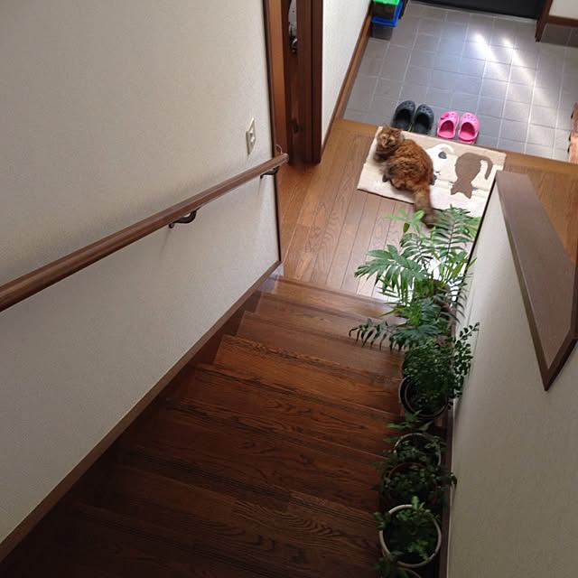 kayocoさんの実例写真
