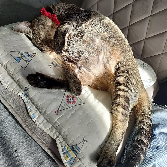 cocomintさんの実例写真