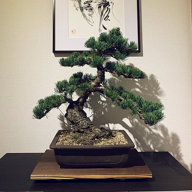 JayPさんの実例写真