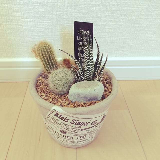 Rinaさんの実例写真