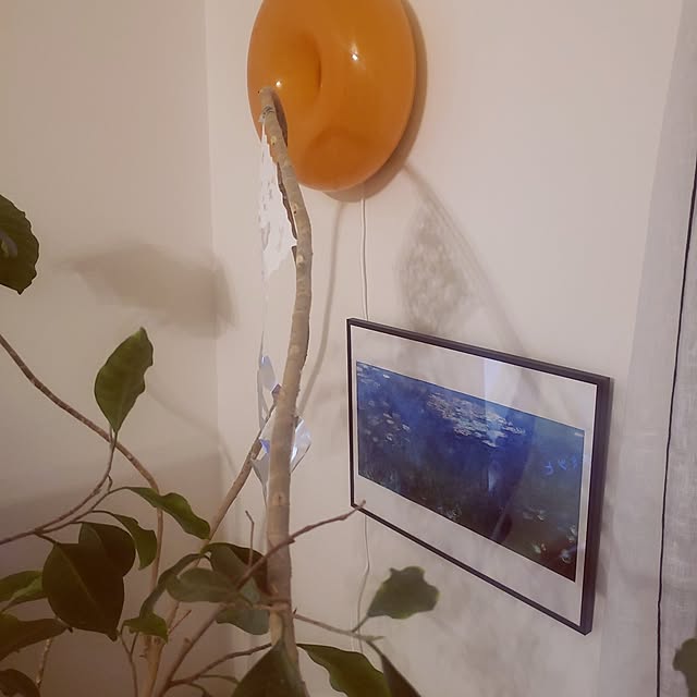 dropさんの実例写真