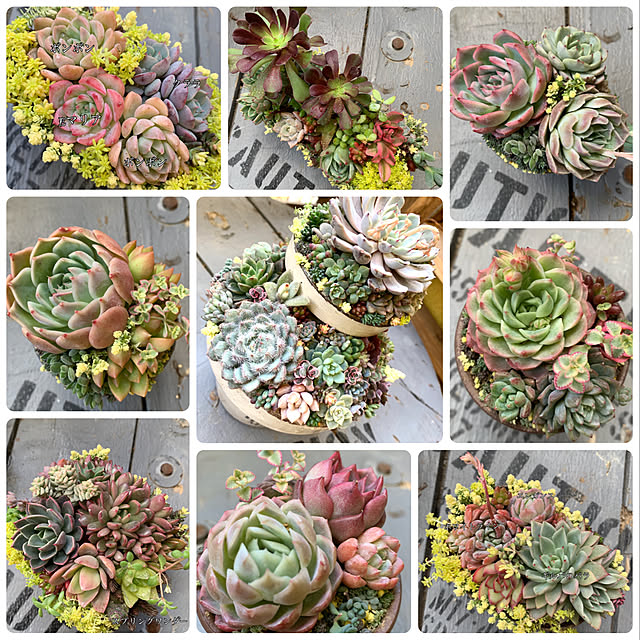 natulove0418さんの実例写真