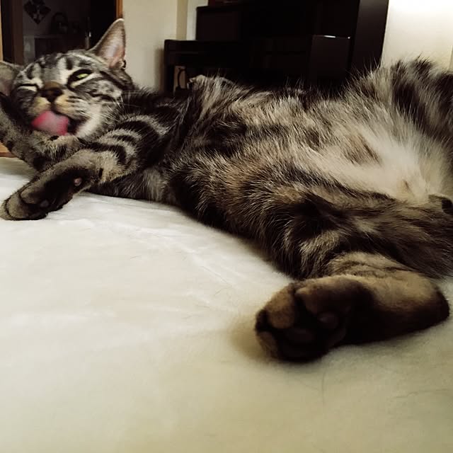 Chlokoさんの実例写真