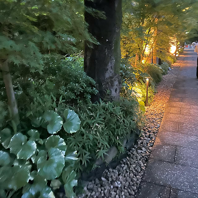 kabu10さんの実例写真