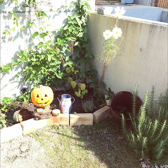 yayonさんの実例写真