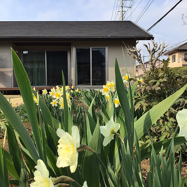 houenさんの部屋