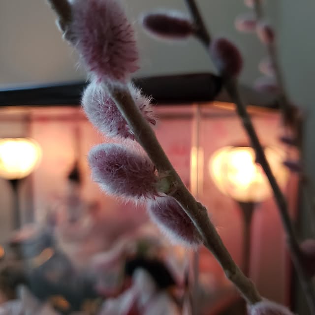 wanidaさんの実例写真