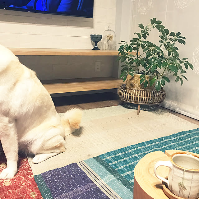 mtkさんの実例写真