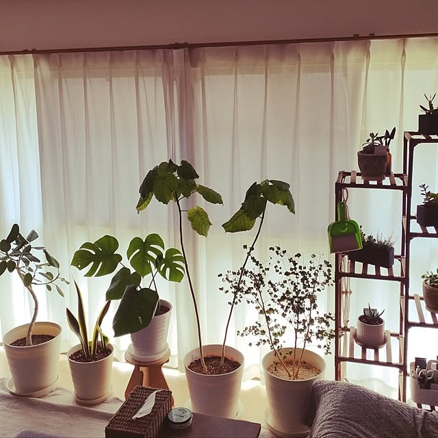animallandさんの部屋