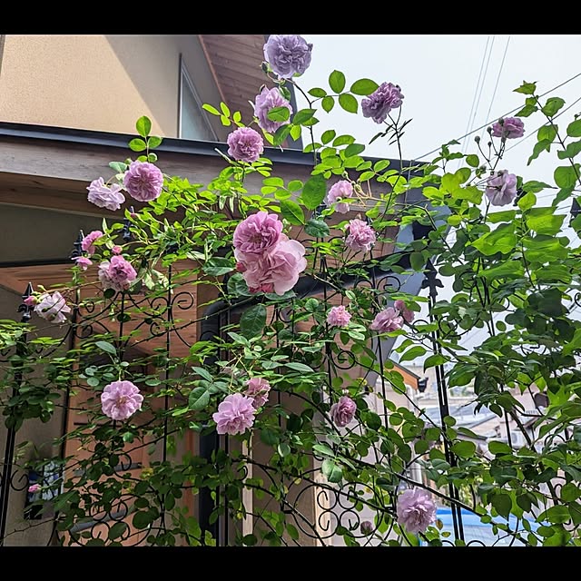aromameさんの部屋