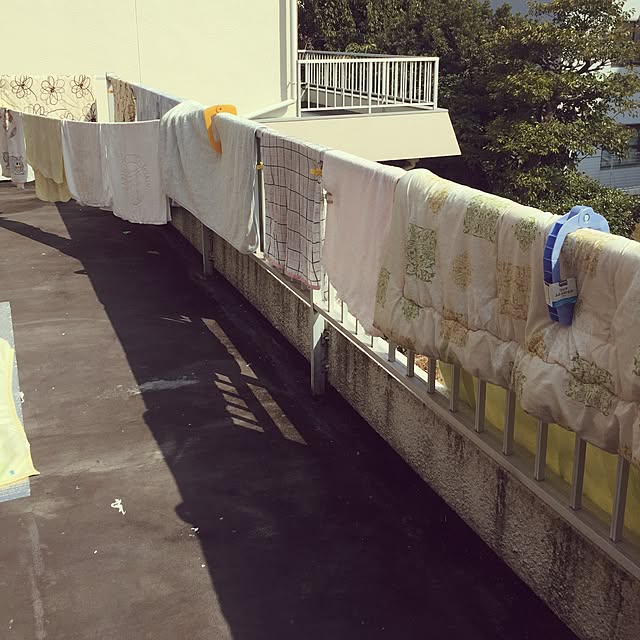 pi25さんの実例写真