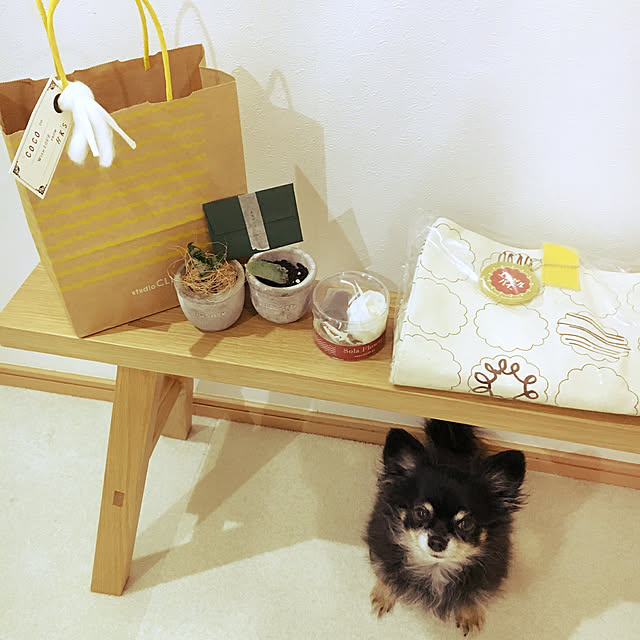 cocoさんの実例写真