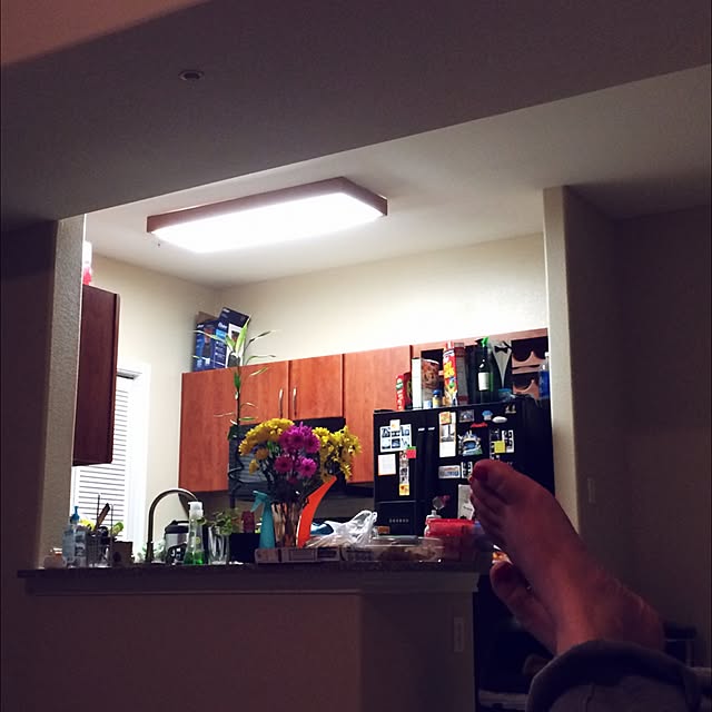 キッチン/IKEA/DIY/salut!のインテリア実例 - 2015-01-21 14:12:49