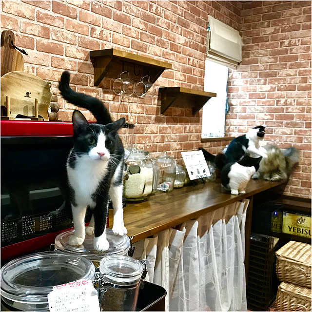 butachanさんの実例写真