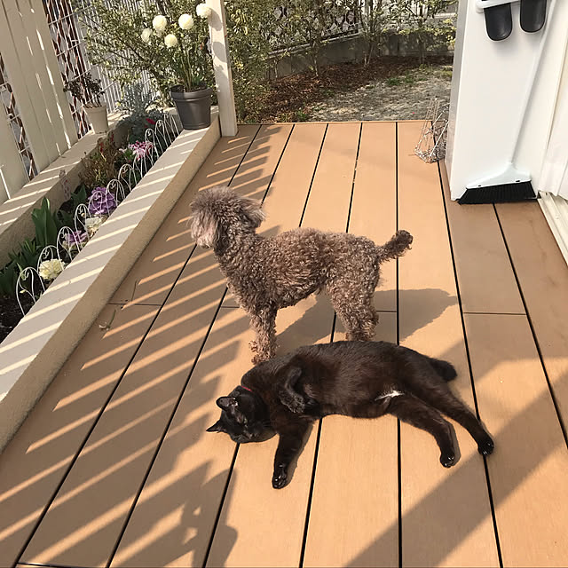 Kaoriさんの実例写真