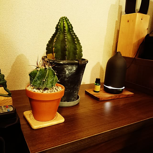 rrikiyさんの実例写真
