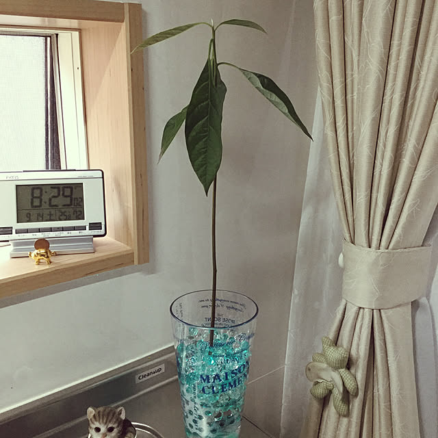 richanさんの実例写真