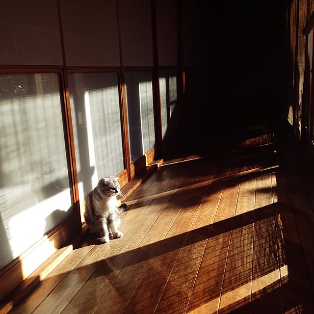 okisibasadaさんの実例写真
