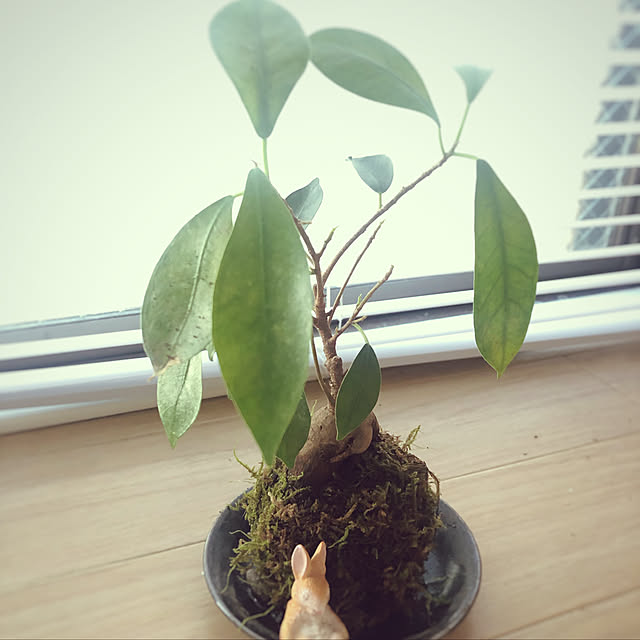 charさんの実例写真