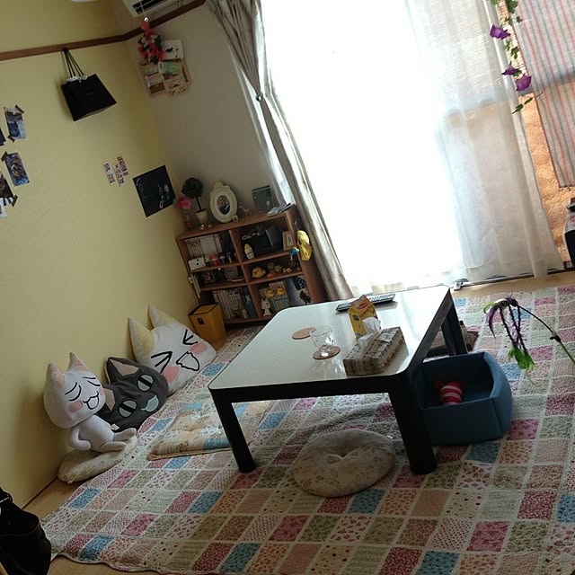 p_candyさんの実例写真