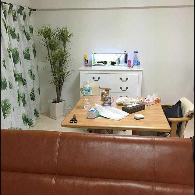 机/観葉植物のインテリア実例 - 2015-07-25 06:36:13