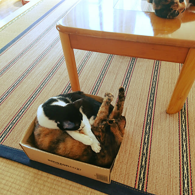 uchizukonyanさんの実例写真