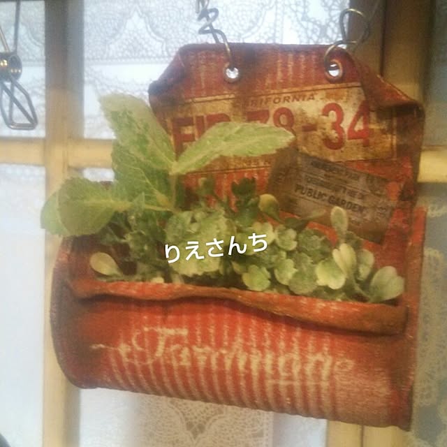 riesanchiさんの実例写真