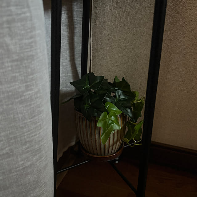 canetteさんの部屋