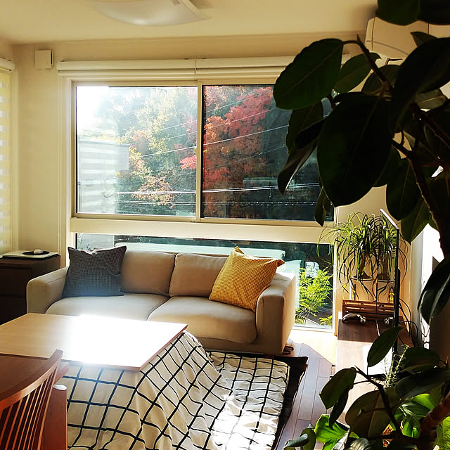 noriのStanza Interior-Marus（マルス） こたつテーブル 長方形 幅105cmタイプ m11733の家具・インテリア写真