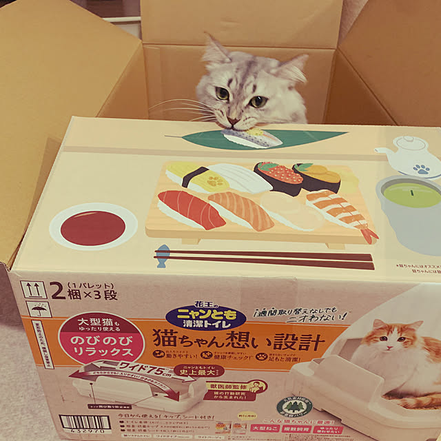 kkkさんの部屋
