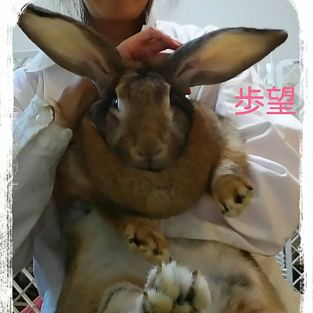 Mikaさんの実例写真