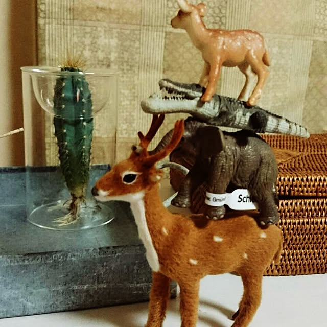 ringoさんの実例写真