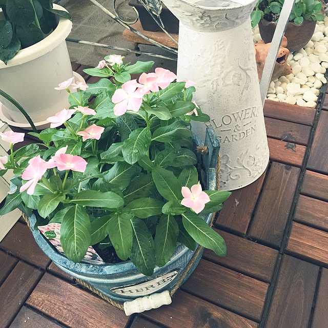 Yuukoさんの実例写真