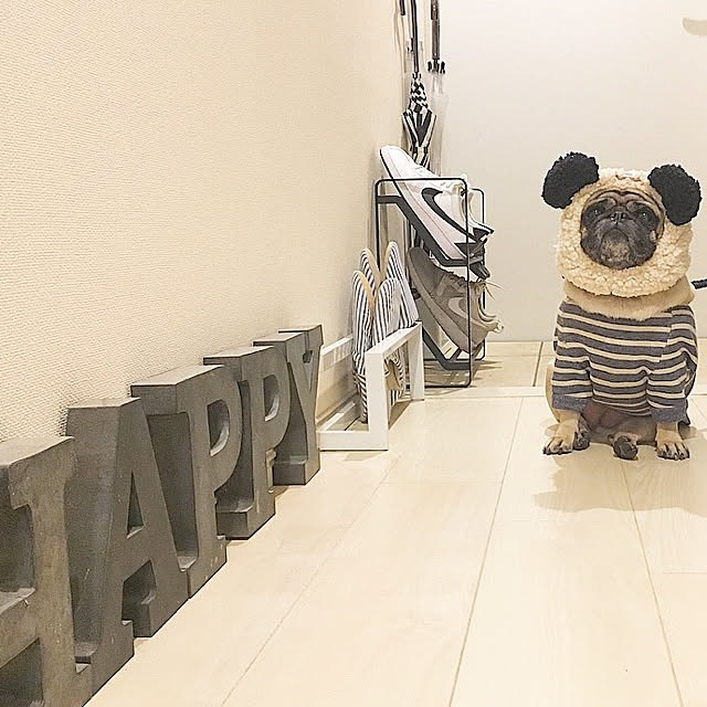 Yukoさんの実例写真