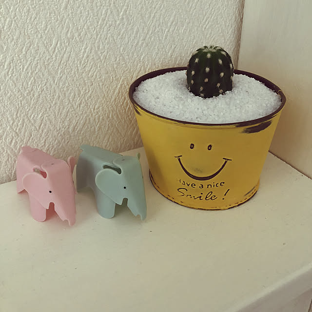 she.さんの実例写真