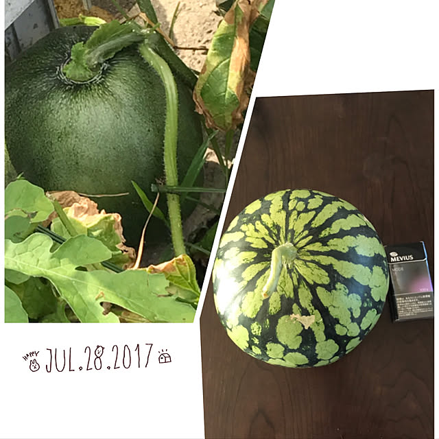 collonさんの実例写真