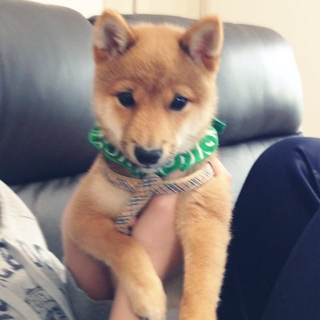 hanakoさんの実例写真