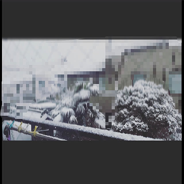 TETSUKO100さんの実例写真